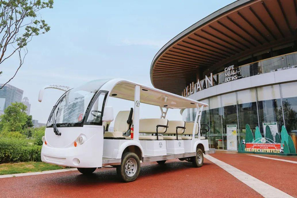 珠贵林安公司购置代步巡游车